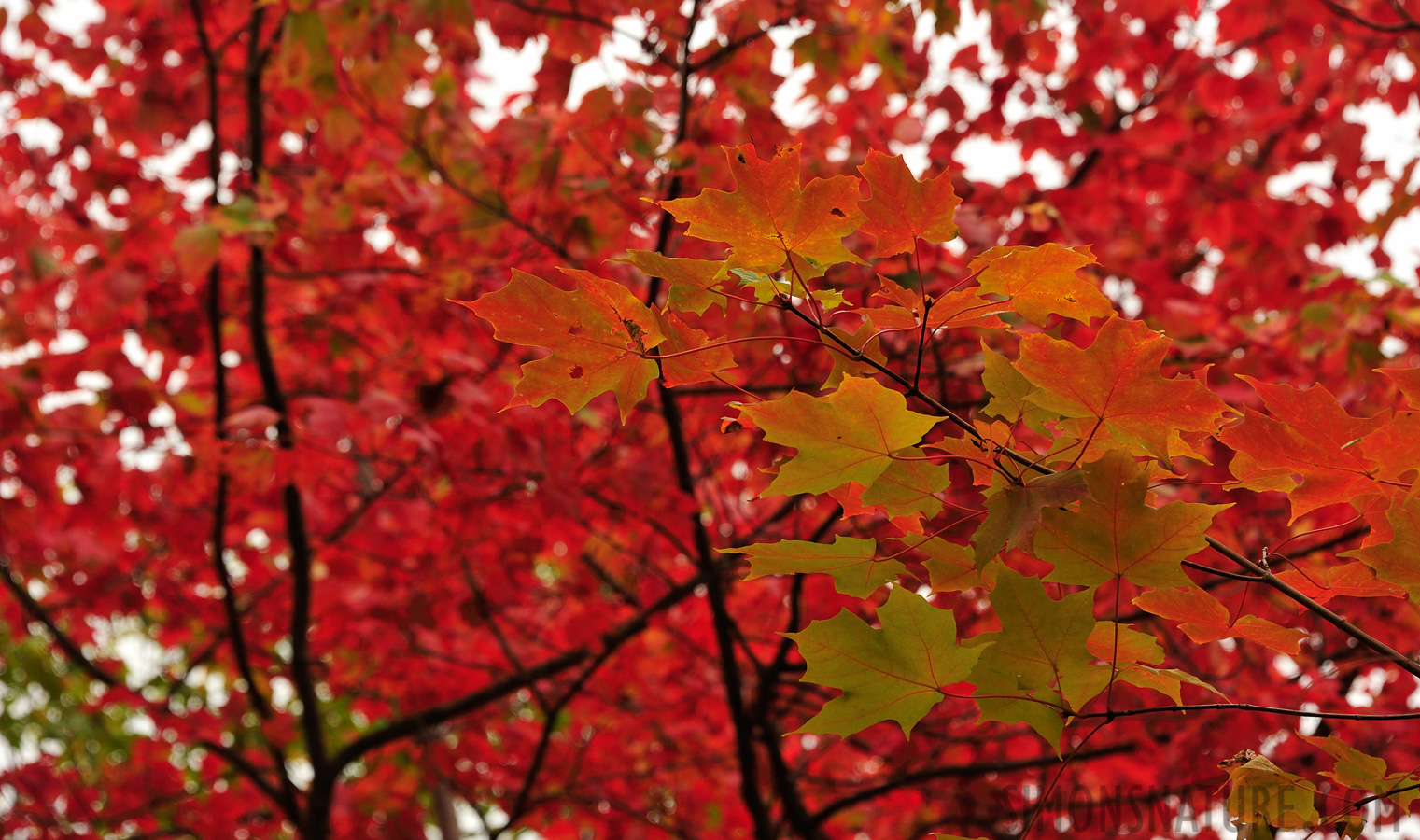 Jericho Mountain State Park [160 mm, 1/250 Sek. bei f / 7.1, ISO 400]